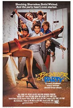 Bekarlığa Son Türkçe Dublaj izle