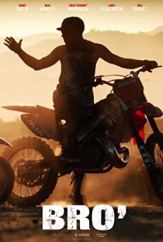 Birader Türkçe Dublaj izle