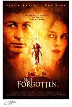 Sır Perdesi Türkçe Dublaj izle