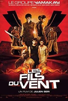 Yamakasi 2 Rüzgarın Çocukları Türkçe Dublaj izle