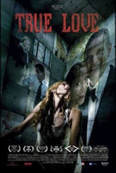 Aşkın Gerçek Mi Türkçe Dublaj izle