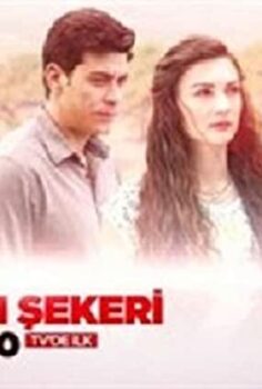 Badem Şekeri izle (2017)