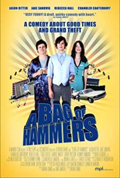 Bir Çanta Dolusu Şapşal Türkçe Dublaj izle