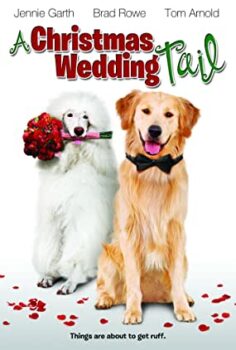 Bir Noel’de Evlilik Hikayesi Türkçe Dublaj izle