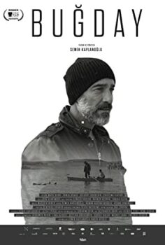 Buğday Yerli Film izle (2017)