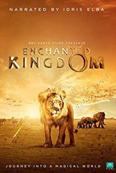Büyülü Krallık – Enchanted Kingdom full izle (2014)