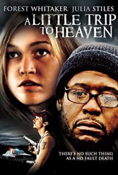 Cennete Kısa Bir Yolculuk Türkçe Dublaj izle