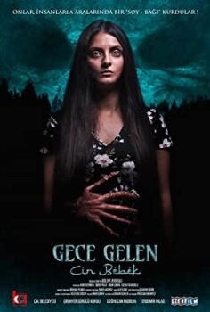 Gece Gelen Cin Bebek izle (2020)