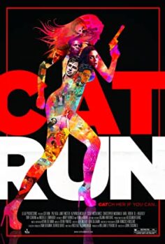 Güzel Tanık Cat Run Türkçe Dublaj izle
