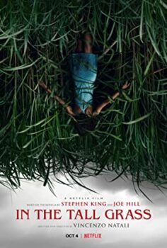 In the Tall Grass izle (2019)