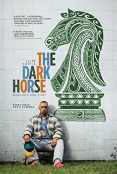 Kayıp Şampiyon Türkçe Dublaj izle