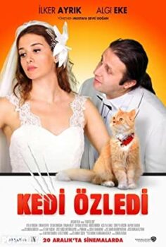 Kedi Özledi Türk Filmi İzle