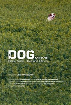 Köpek filmi izle (2019)