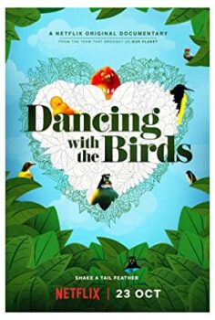 Kuşlarla Dans | Dancing with the Birds izle (2019)