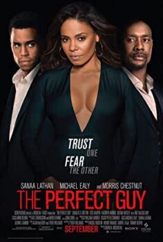 Kusursuz Adam The Perfect Guy 2015 izle