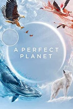 Kusursuz Gezegen – A Perfect Planet BBC Belgesel izle (2021)