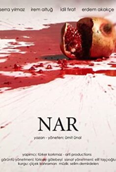 Nar Türk Filmi izle