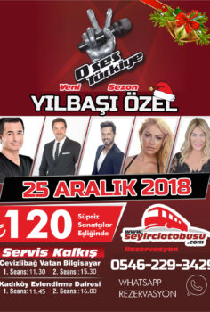 O Ses Türkiye Yilbasi Özel (2019)