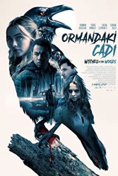 Ormandaki Cadı izle (2019)