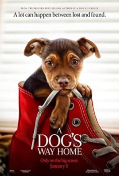 Sadık Dostum – A Dogs Way Home izle (2019)