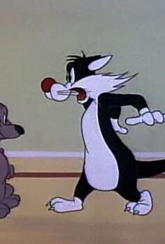 Sylvester Hippety Hopper Türkçe Dublaj izle