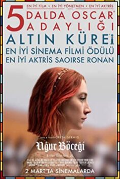 Uğur Böceği Lady Bird izle (2017)