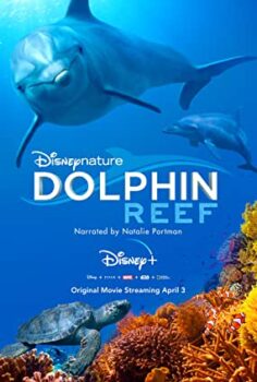Yunus Resifi – Dolphin Reef izle (2018)
