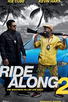 Zor Biraderler 2 (2016 filmi) Türkçe Dublaj izle
